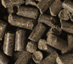 BIO-FER NATUR 4-3-3 Ca6 ÖSSZETETT BIO SZERVES TRÁGYA 1000 kg BB-ben