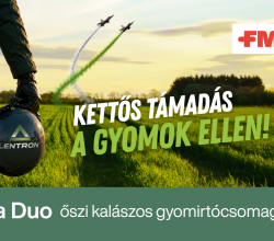 Delta Duo őszi kalászos gyomirtócsomag