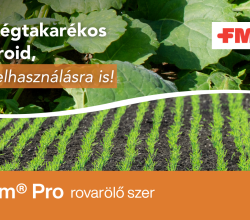 Divam® Pro rovarölő szer