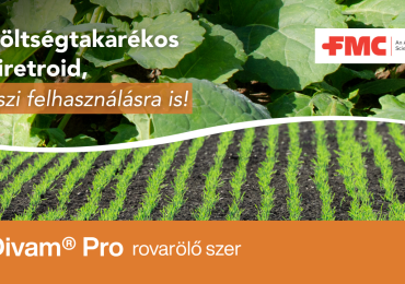 Divam® Pro rovarölő szer