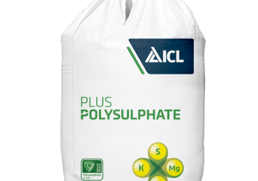 Polysulphate ásványi trágya
