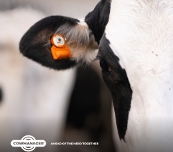 CowManager