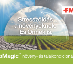 RhizoMagic™ növény- és talajkondicionáló szer