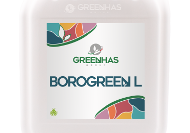 Borogreen L gyorsan és könnyen felvehető bórlombtrágya BIO