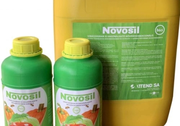 NOVOSIL virágzásban is használható növénykondicionáló