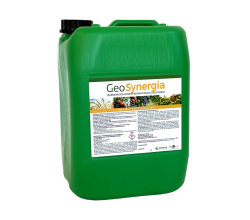GeoSynergia