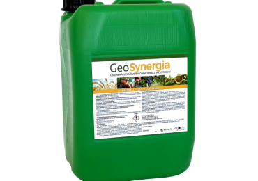 GeoSynergia